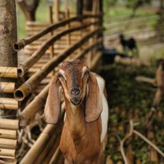 Mawun Valley Farmstays