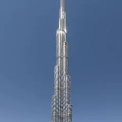 The star