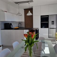 New comfortable app Dora