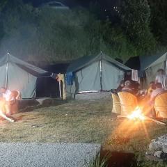 Pine hills nature camp