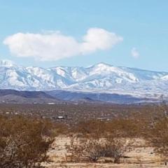 Tranquil Joshua Tree Rental for a Secluded Desert Getaway