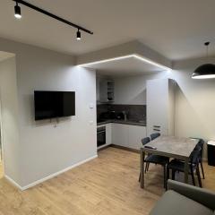 Central flat in milan - Sempione Park