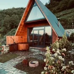 Fora Suit Bungalov 2