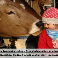 Ferienhof Herz