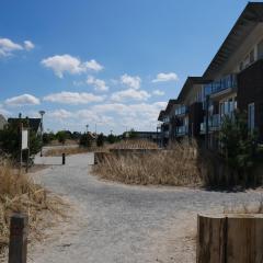 Strandleven aan zee