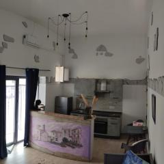 Quercus ilex A in the historic center