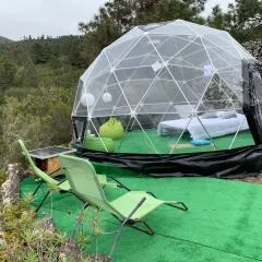 SkyDome