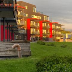 Cozy and Central 3 Bedroom Apartment