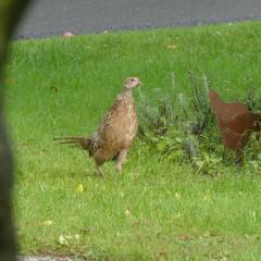 Ferienwohnung Herbers OG