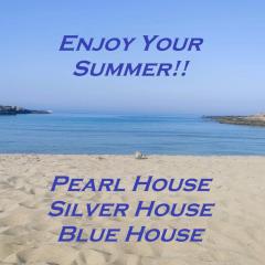 Blu House