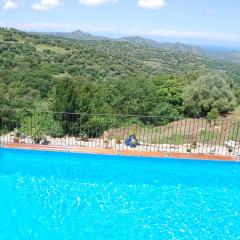 costa di sognu