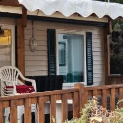 mobil-home 43
