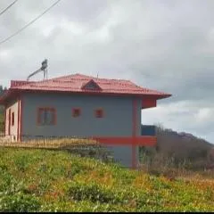 Koçi Otel