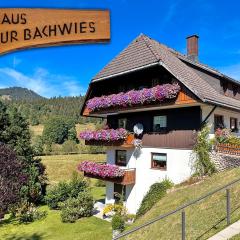 Aufblühen in Menzenschwand