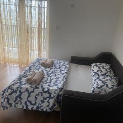 Apartmani Amon