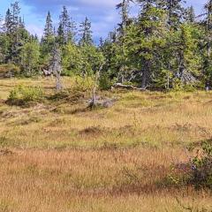 4 person holiday home in Föllinge