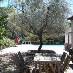 Los Olivos