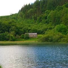 Ty Newydd