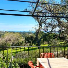 Les Restanques IRIS 2124