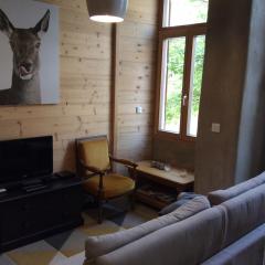 Huez village beautiful apartment