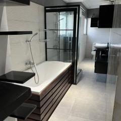 grand et beau appartement