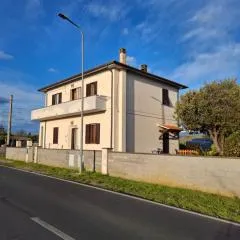Rosignano Marittimo Rosa Bianca