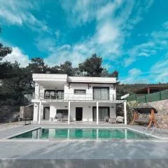 Kızılağaçta özel havuzlu geniş bahçeli lüks Villa