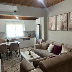 Vasil's Apartment