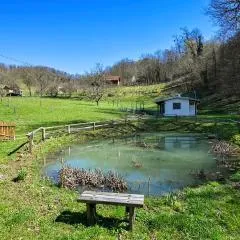 Lake Front Home In Andrasevec With Wifi