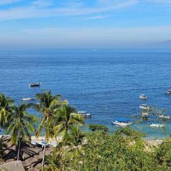 Casa Mismaloya Selva