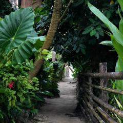 Tuason Inn at Tuason Point Surfing Spot, General Luna