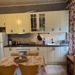 Despina house