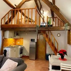 Gîte de charme pour 4 pers à Tour-en-Sologne, climatisé - FR-1-491-460