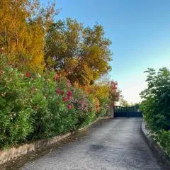 Domaine Mare e Monti - T1 Le Maquis