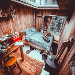 Cabana da Arvore Monte Verde Forest Place