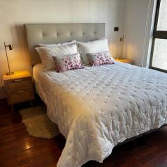 HOM I 1D1B 3PAX en Providencia metro Manuel Montt PF308