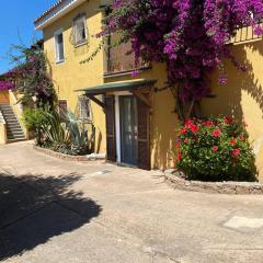 La Casa tartaruga Mia