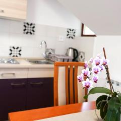 Studio Apartman Šafranko