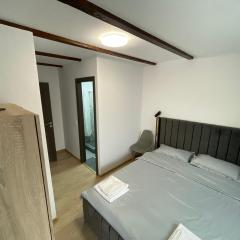 Villa Forrest Bușteni