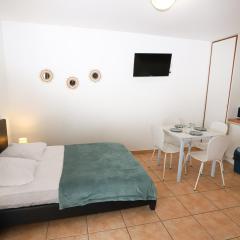 Grand studio 5 pour 2 a 4 p