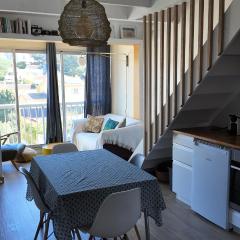 L'Ibis Duplex, secteur Pin Rolland, Plage à pied, Parking entièrement rénové