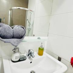 Luxury and cozy apartment Vinohrady Prague