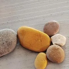Lattrazionedelgeco