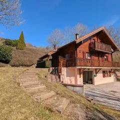 Chalet confortable avec 4 chambres, cheminée, grand terrain, proche pistes et lac - FR-1-589-107