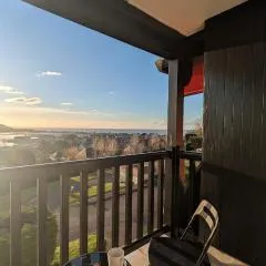 Le Panoramique, F2- vue imprenable, wifi & parking
