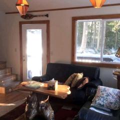 Cozy Forest Cabin for Eight Guests near Olympic National Park in Washington