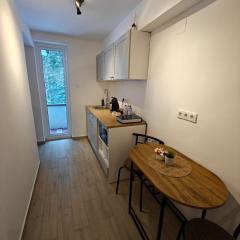 Red Lake Apartman