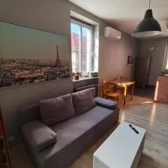 Apartament Gliwice Centrum plus Parking