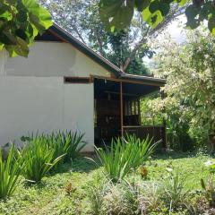 JARDIN DE LAS MUSAS