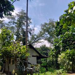 JARDIN DE LAS MUSAS